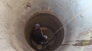 Поехали на самосбор малины.