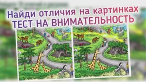 Найди 10 отличий в зоопарке! Загадка для улучшения внимания и памяти.