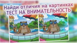Найдите 11 отличий на картинках про капибару на отдыхе. Упражнение для тренировки памяти и внимания.