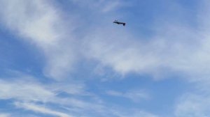 Thunder Tiger Extra 260 3D 30% 2210mm