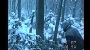 По Некрасова крестьянские дети