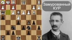 Карл ШЛЕХТЕР： замуровал КОРОЛЯ и добил, как КУРЯ! Шахматы