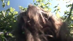 "Пророчество Итлины" (Sympho) "Дорога без возврата" 1ч.