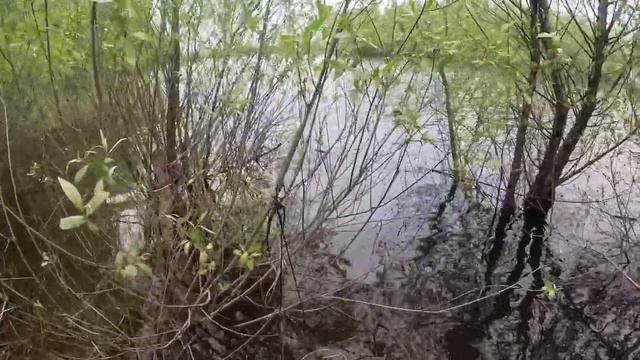 в разведку со спиннингом и поплавком) смотреть онлайн