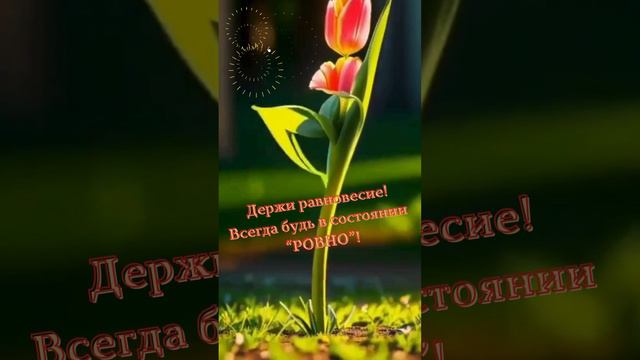 ГЛАВНОЕ ПРАВИЛО ЖИЗНИ. Людмила Чубенко