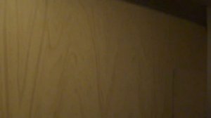 Пассажирский лифт (г. Сергиев-Посад), V=0,71 м-с, г-п 320 кг (46)