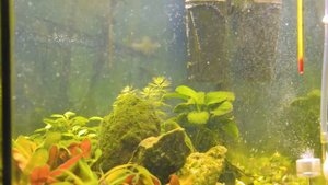 Ответы на частые вопросы