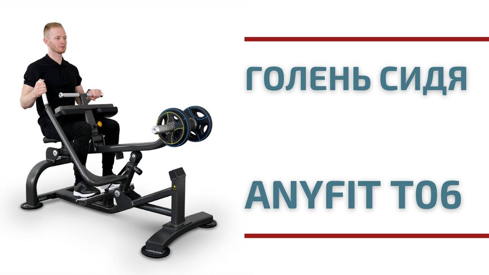 Голень сидя на свободных весах AnyFit T06