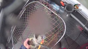 Закрытие сезона рыбалки ТРОЛЛИНГОМ в Молчаново на Оби в 2023 году! (24.10.2023)