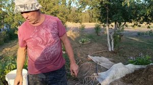 Вика переехала в квартиру. Не смогли увезти собаку. Продолжаем раскопки в поисках воды.