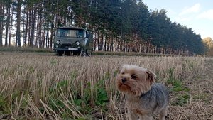 Дедова буханка