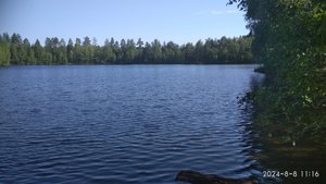 Карелия, подводная охота окунёвое озеро (август 2024)