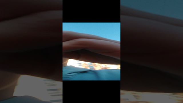 раскрывая монету Лёни
