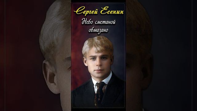 Небо сметаной обмазано - Сергей Есенин (читает Артём Гоман) #shorts