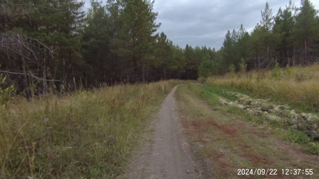 Велогонка Опавших листьев Троицк 22 сентября 2024 (1)