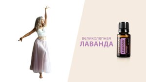 Великолепная лаванда