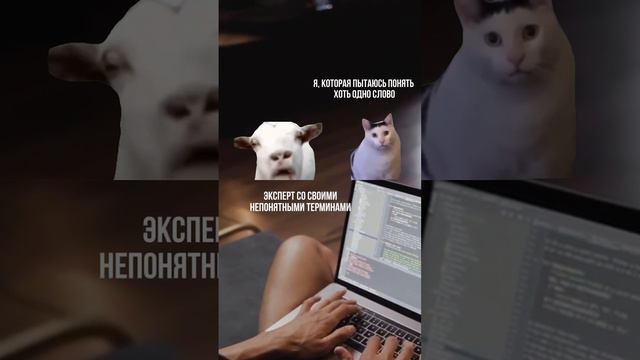 Женя в актуалку рилс сделала 😂