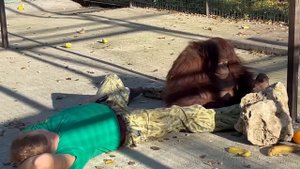 НЕВОЗМОЖНО! Дана сделала ИЗ СЕБЯ ПОДУШКУ, лишь бы Олегу Зубкову было удобно!