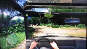 Far Cry 3 - 'Free Fall' Achievement/Trophy