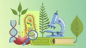 Биология 5 класс. Значение бактерий.