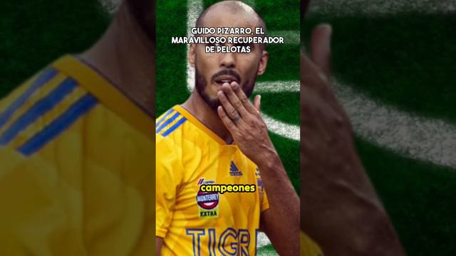 Guido Pizarro:el maravilloso recuperador de pelotas #ligamx #futbol #mexico #tigres #argentina