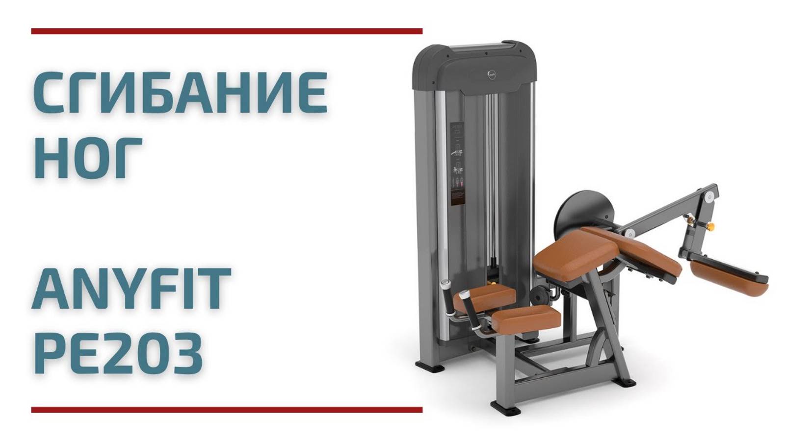 Сгибание ног AnyFit PE203