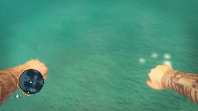 Far Cry 3 Trophy Guide: FEARLESS OR STUPID | Mister Achievement trophy hunting