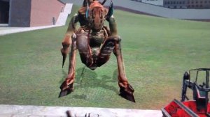 poison & fast headcrab vs antlion guard