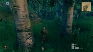 ЛЕЧУ В ВАЛЬХЕЙМ! ВОРОН ЗДОРОВО УМЕЕТ ПУГАТЬ В VALHEIM