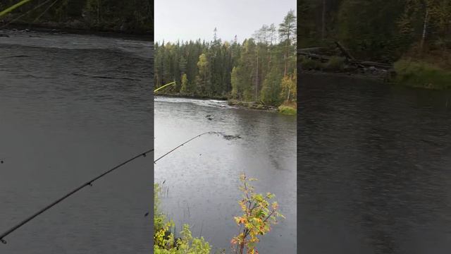 Карелия смотреть онлайн