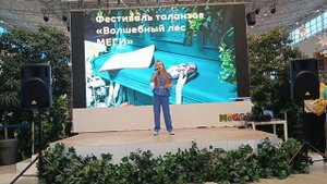 Маленький блюз, Мега, фестиваль.