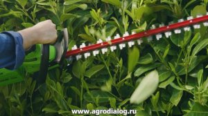 Аккумуляторные ножницы Greenworks G40HT61