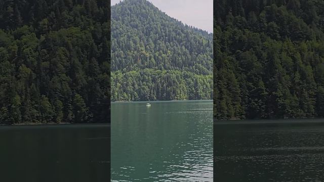 Красивое озеро Рица в Абхазии. Beautiful lake Ritsa in Abkhazia. #сухум #абхазия #озерорица #ritsa