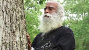 Не позволяйте своему происхождению заманить вас в ловушку - Садхгуру на Русском