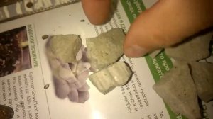 GrowPlant. Сравниваем субстраты