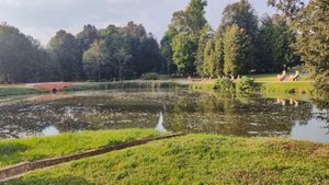 Холодным пламенем в долине 
Ирина Лазарева 
Сл. Е.Шантгай и муз. И. Френкель