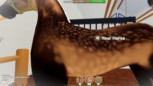 ROBLOX/Ко мне приехала новая  кобылка?