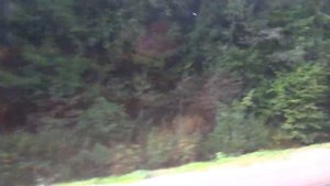 Солнечногорск, автобус 24, участок Толстяково - Тараканово