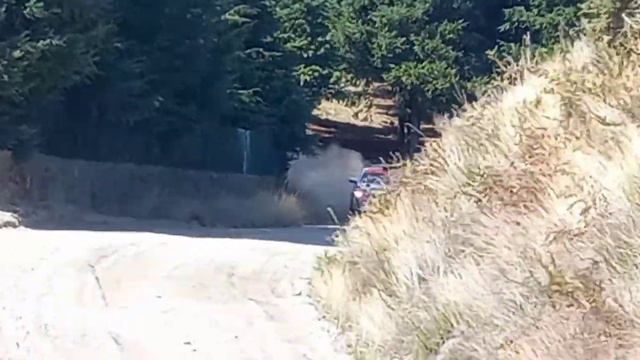 Test ERC | Pedro Almeida 🇵🇹 | Peugeot 208 Rally4 | Fafe 2021 смотреть онлайн