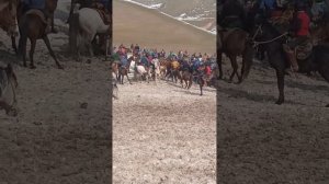 бузкаши ёвон д кармиш хожи рузибой халол кард