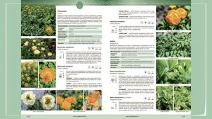 АППМ 2018 (Ассоциация Производителей Посадочного Материала)