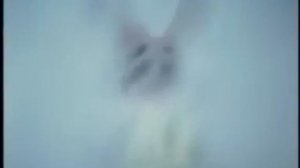 Wilk i Zając 06 przeróbka by Zenpav92