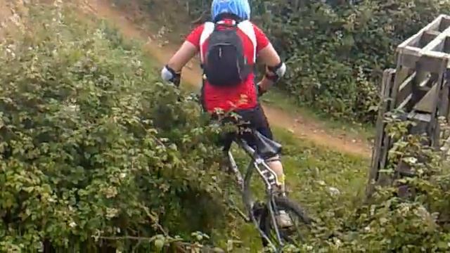 ostion de josu en la arboleda смотреть онлайн