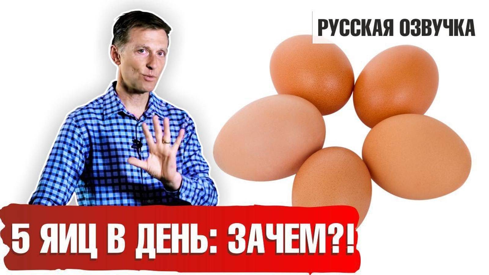 Кето продукты. Яйца: сколько можно?