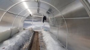 Мои работы в теплице в марте. Как согреть землю