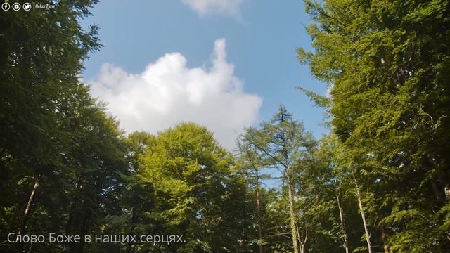 НОВИЙ ЗАПОВІТ. Послання до Филип'ян... БІБЛІЯ... смотреть онлайн