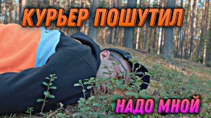 Курьер пошутил надо мной 🤐 #автозвук #рекомендации #dlaudio #валерич