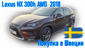 Покупка и пригон автомобиля из Европы (Швеции). Lexus NX300H AWD 2018 г.в.