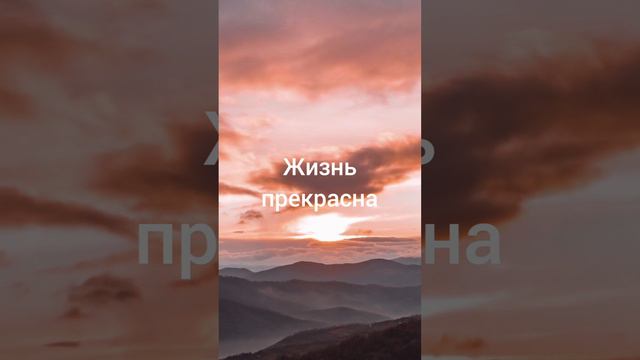 YouCut_20240923_190326447.mp4 смотреть онлайн