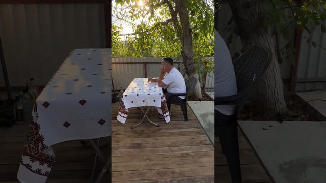 Черепаховый суп смотреть онлайн